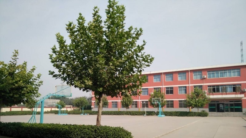 秦皇岛市燕海科技职业学校