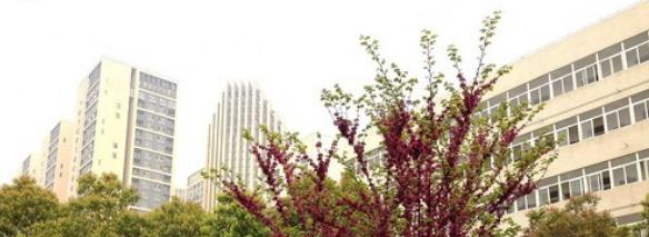 武汉东西湖职业技术学校6