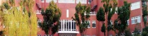 新虹桥中学国际部