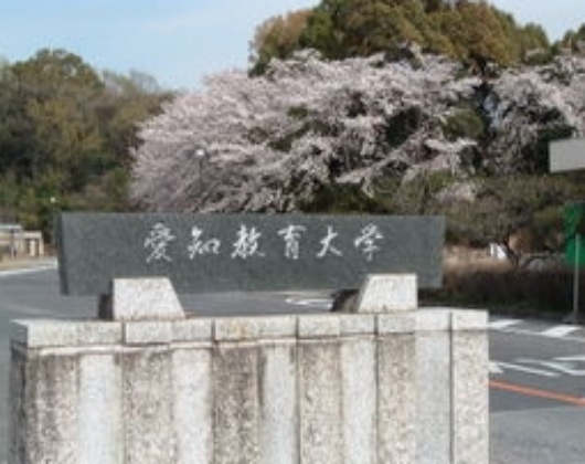 爱知教育大学