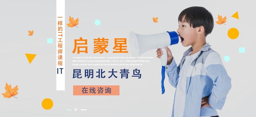 昆明青少年编程哪个好