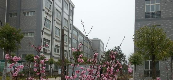 许昌工商管理学校