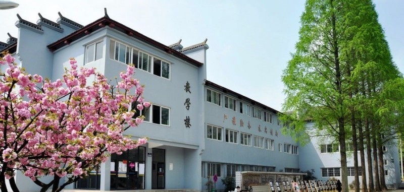 安徽林业职业技术学院单招报名时间