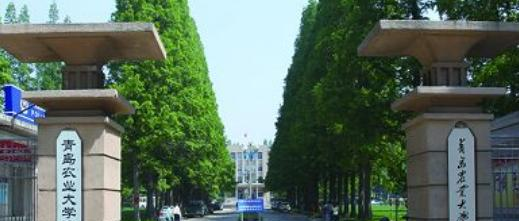 2022青岛农业大学海都学院分数线最低是多少（省内+省外）-2023年参考