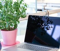 线上+线下结合教学模式