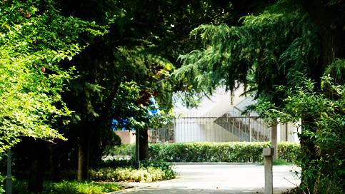 江苏经贸职业技术学院是几专