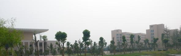  富阳中学国际部靠谱吗