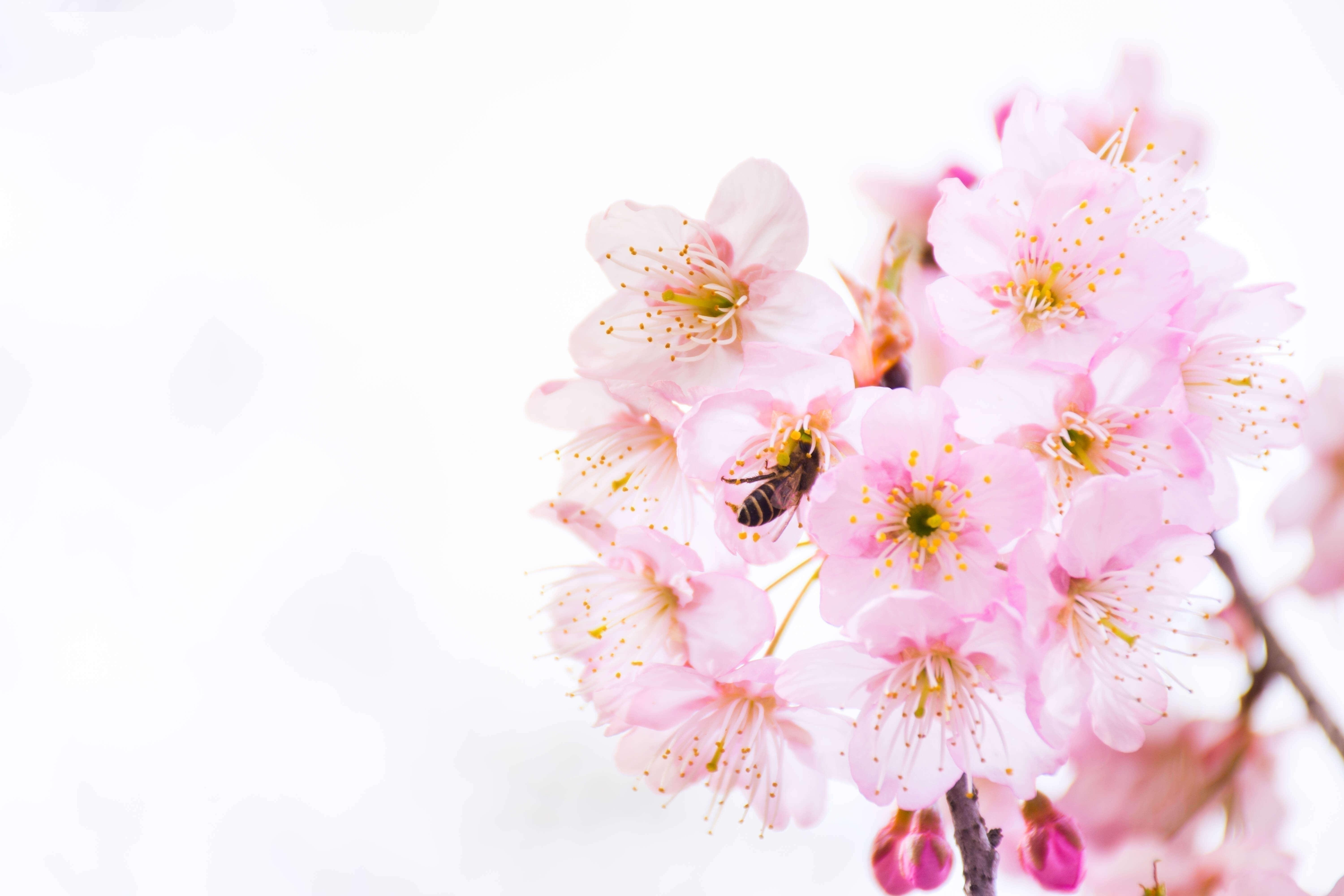 济南权威日语培训