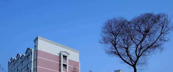 四川中医药高等专科学校单招