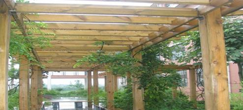 山东医药技师学院