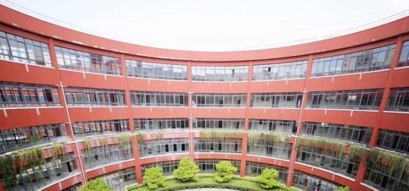 2023年上海中学国际部小学部入学条件