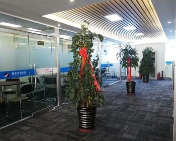 大厅