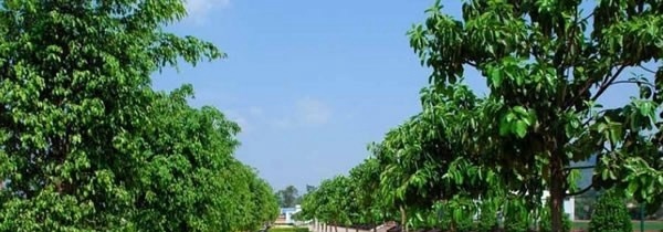 楚雄民族中等专业学校