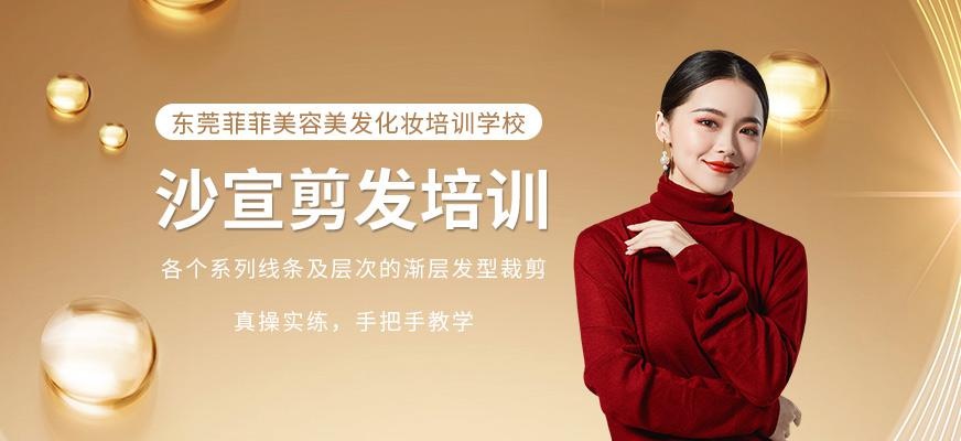 沙宣剪发培训
