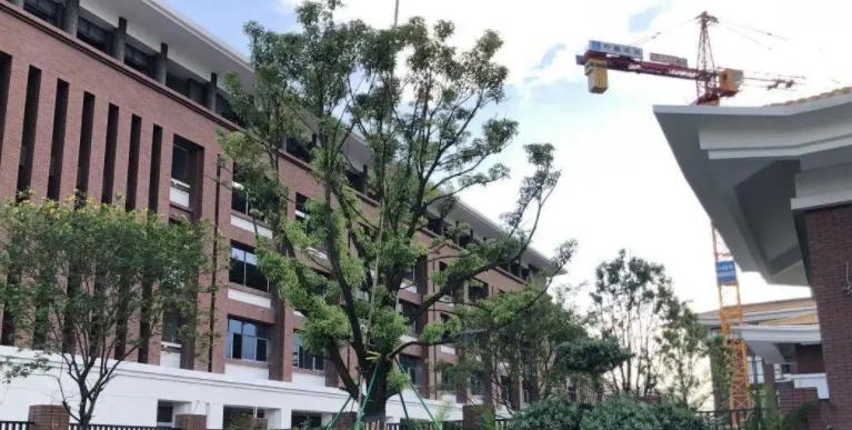 廣雅中學(xué)博雅國際班2023年錄取分?jǐn)?shù)線2