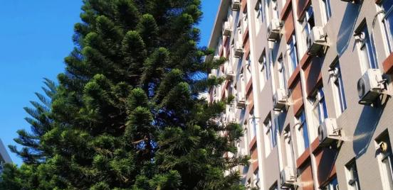 广东司法警官职业学院2020年招生办