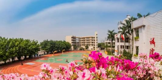 广州市南沙区岭东职业技术学校2020年有哪些专业