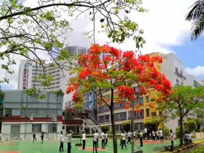 深圳市福景外国语学校校园环境