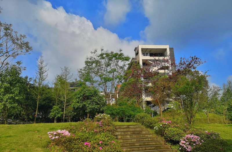 重庆医药高等专科学校