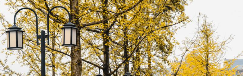 宜宾天立国际学校