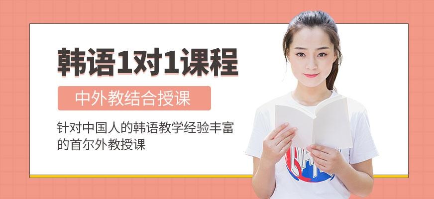 天言言语一对一