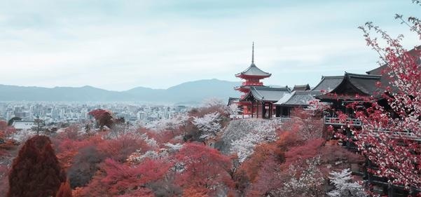 广州日本留学中介成功案例