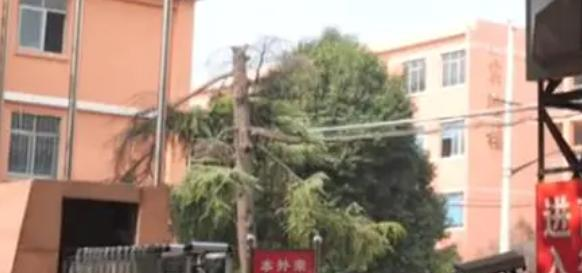 2023焦作卫生医药学校招生计划 招生人数是多少(附要求、条件、对象)
