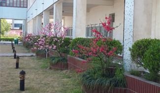 校园风采