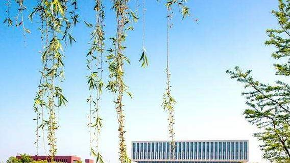 南京交通职业技术学院是几专