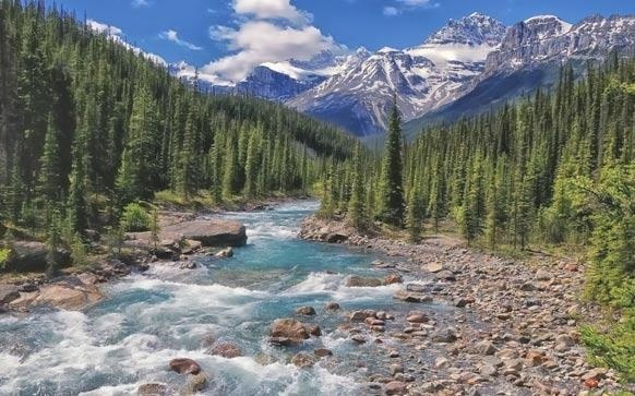 葡萄牙语法律词汇