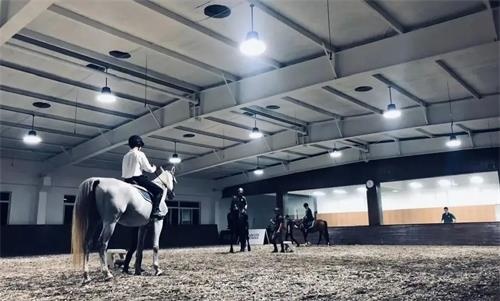苏州阿德科特学校马术