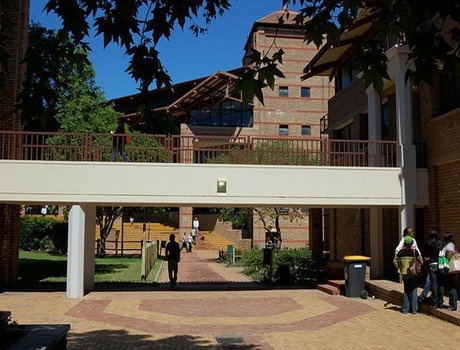 西开普大学
