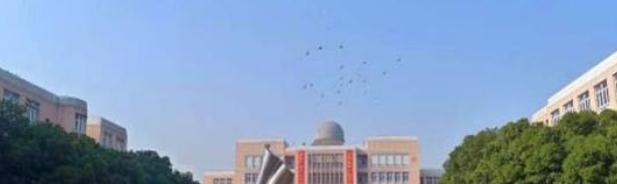 上海七宝德怀特高级中学怎么样、好不好