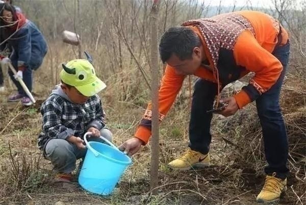 限量搶定 | 北京童程童美精彩植樹主題活動招募中！更有免費名額等你來！