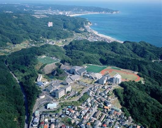 国际武道大学