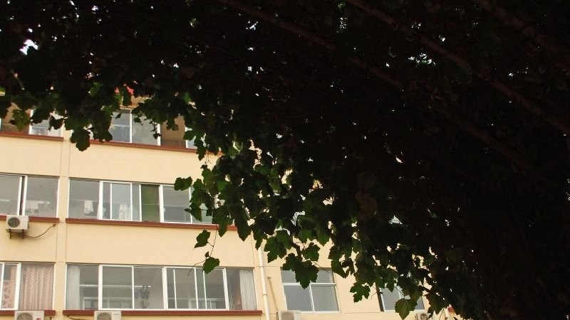 山东益都卫生学校