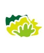 蒋伟