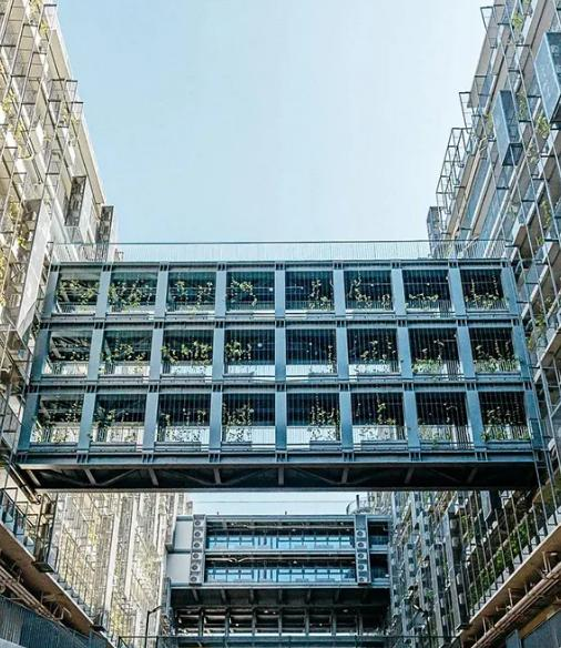  深圳国际交流学院2023年课程体系