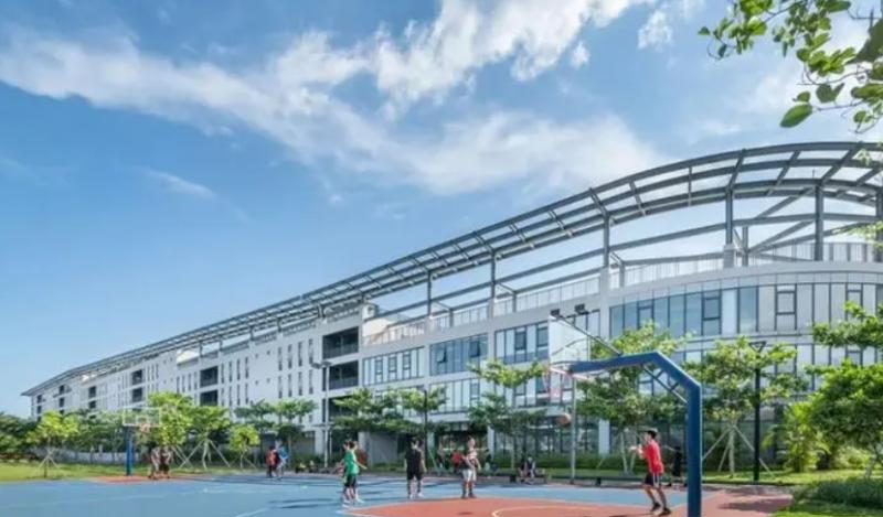 2023北京大学附属中学海口学校招生计划 招生人数是多少(附要求、条件、对象)