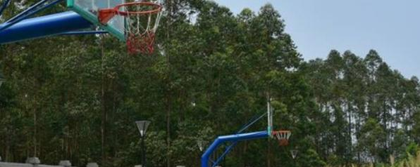 揭西职业技术学校