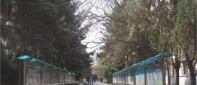 甘肃水利水电学校