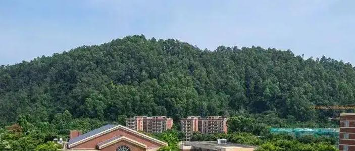 广州美国人国际学校初中部2023年入学考试2