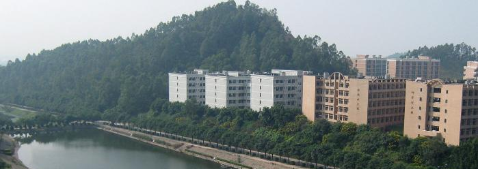 截图_20191024100637