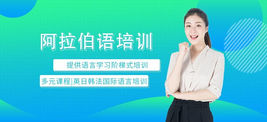 大连迪派阿拉伯语培训配图