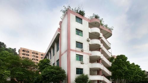 重庆市南丁卫生职业学校