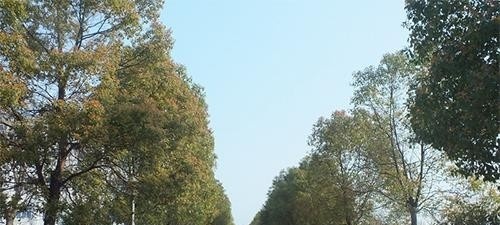 安徽旅游职业学院单招报名时间