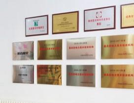 沈阳顶点画室