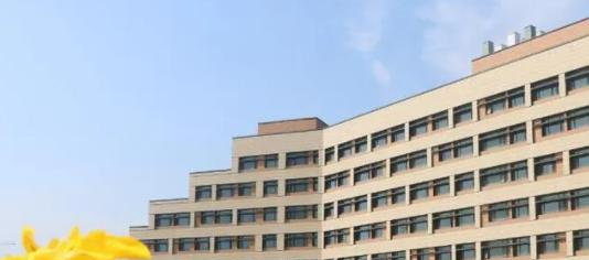 北京海嘉国际学校初中部怎么样