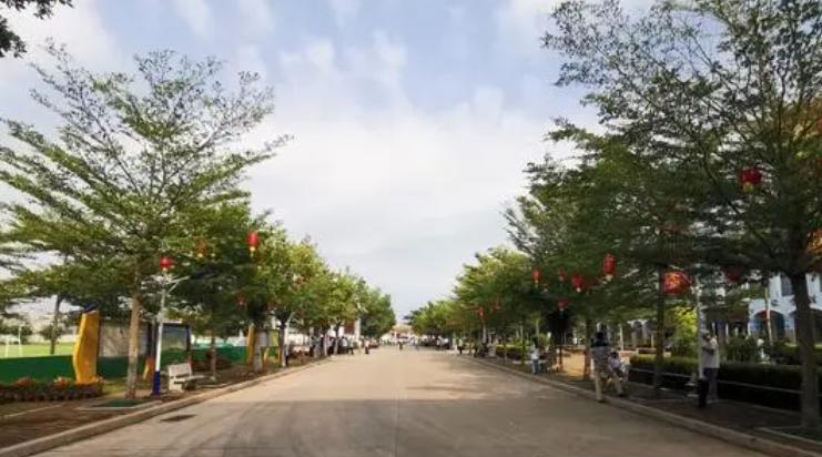 临高县新盈中学历年招生分数线一览表(2023参考)