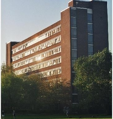 科隆大学